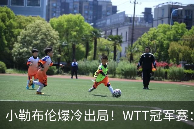 小勒布伦爆冷出局！WTT冠军赛：日乒黑马持续高能发挥打进半决赛